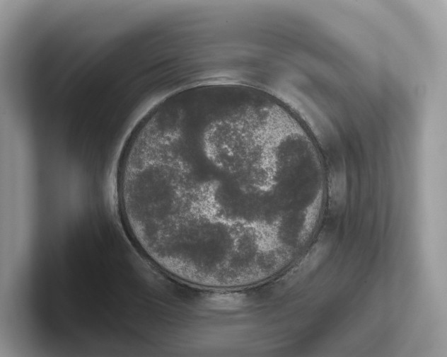 X0000101431466200807211140