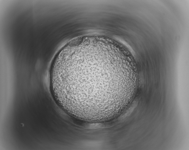 X0000101431467200807211140