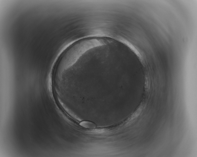 X0000101431468200807211140