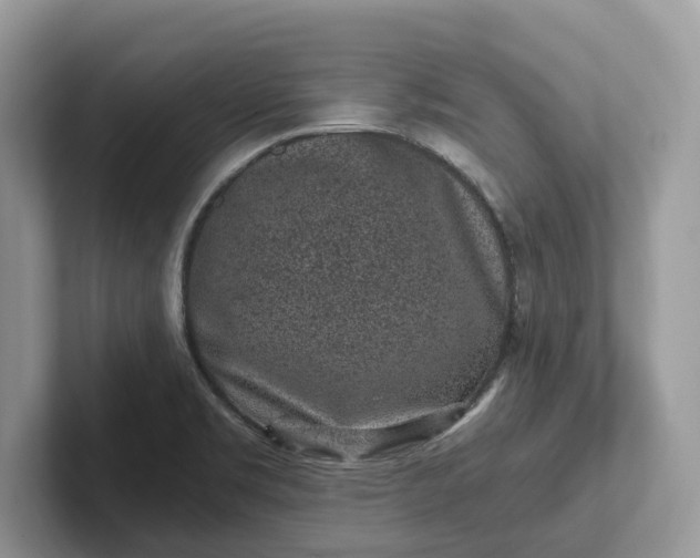 X0000101431469200807211140