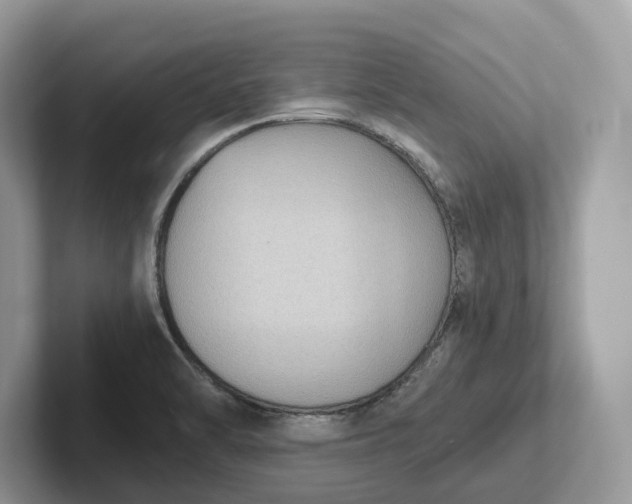 X0000101431470200807211140