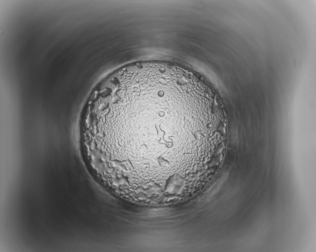 X0000101431471200807211140