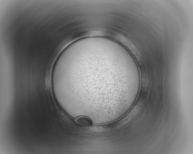 X0000101431473200807211140