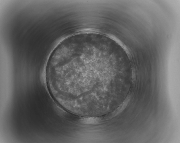 X0000101431474200807211140