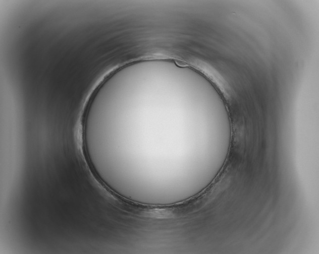 X0000101431476200807211139