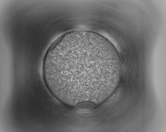 X0000101431477200807211139