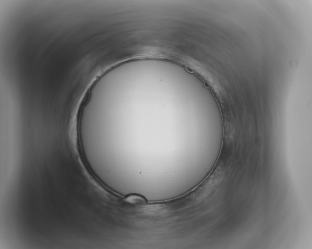 X0000101431479200807211139