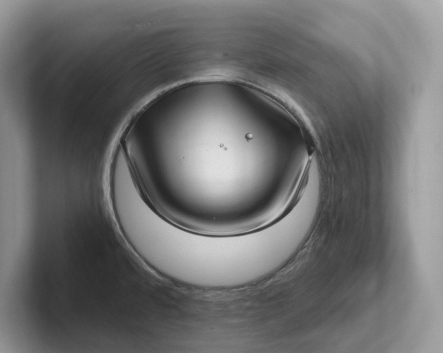 X0000101431480200807211139