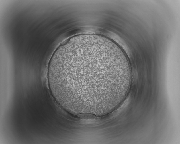 X0000101431481200807211139