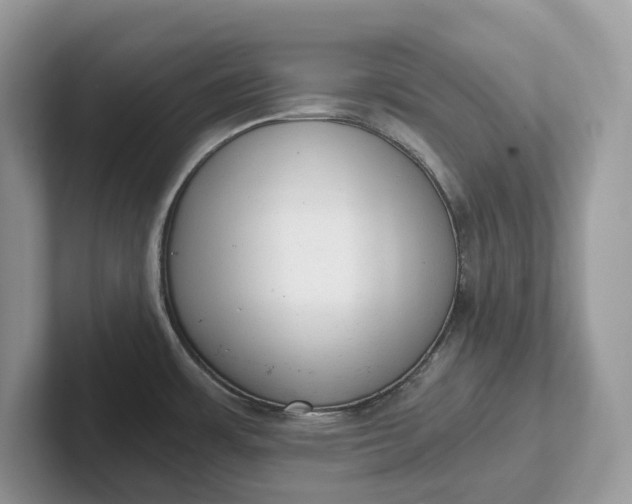 X0000101431483200807211139