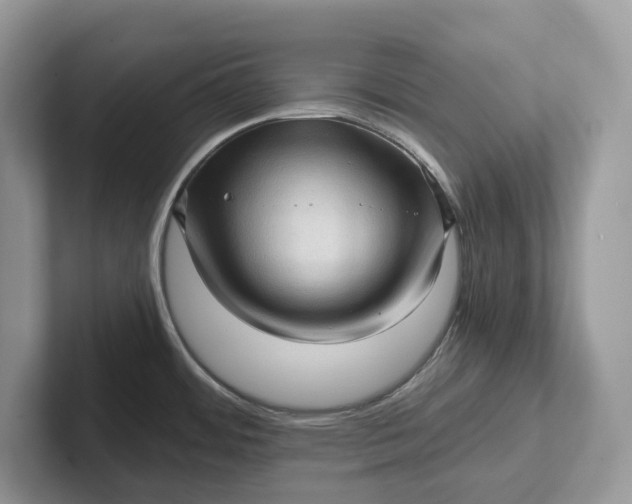 X0000101431484200807211139