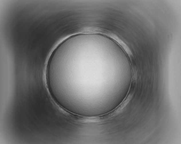 X0000101431486200807211139