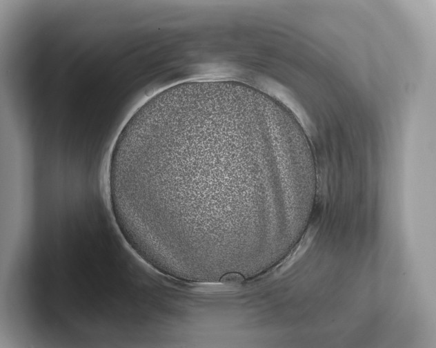 X0000101431487200807211139