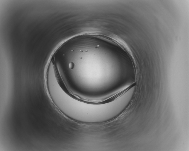 X0000101431488200807211139