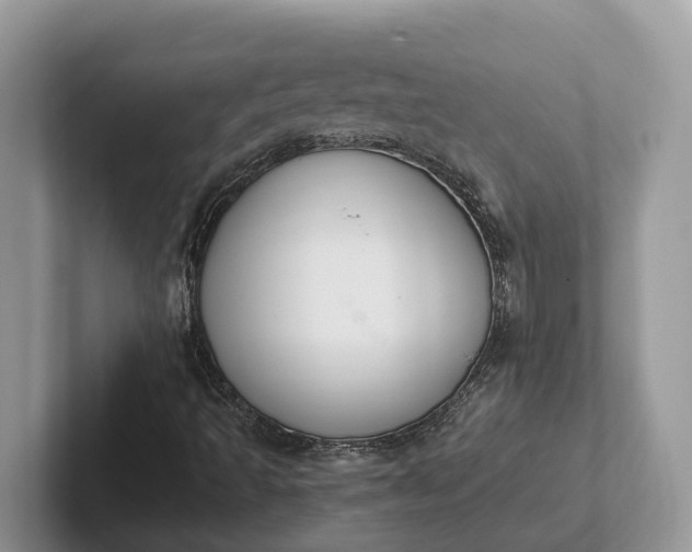 X0000101431493200807211139