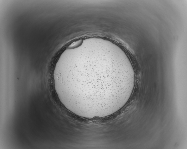 X0000101431496200807211139