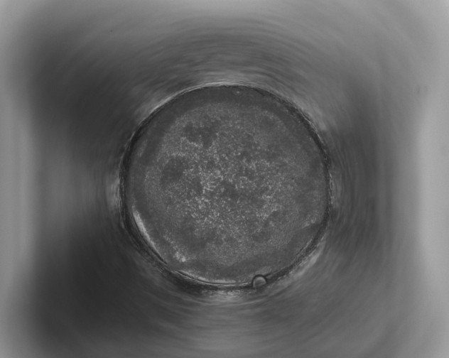 X0000101431497200807211139