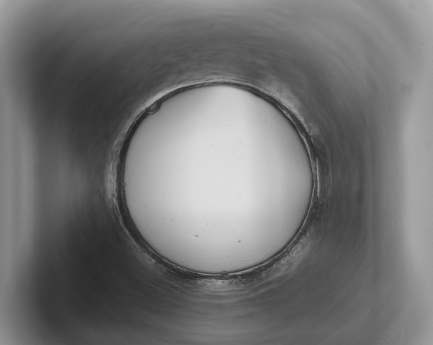 X0000101431500200807211139