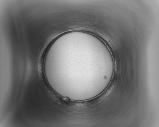 X0000101431501200807211139