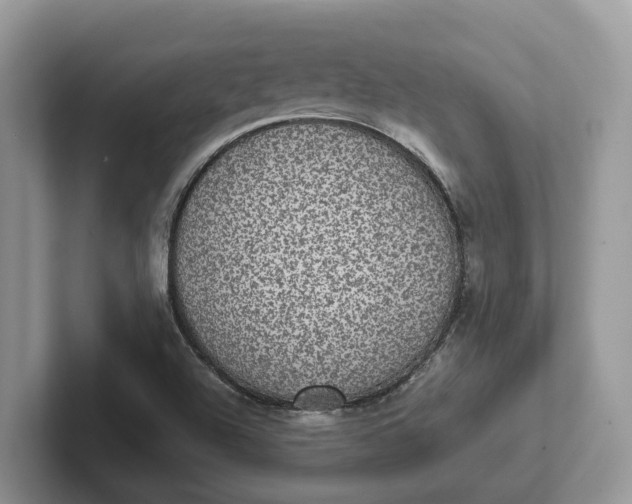 X0000101431504200807211139