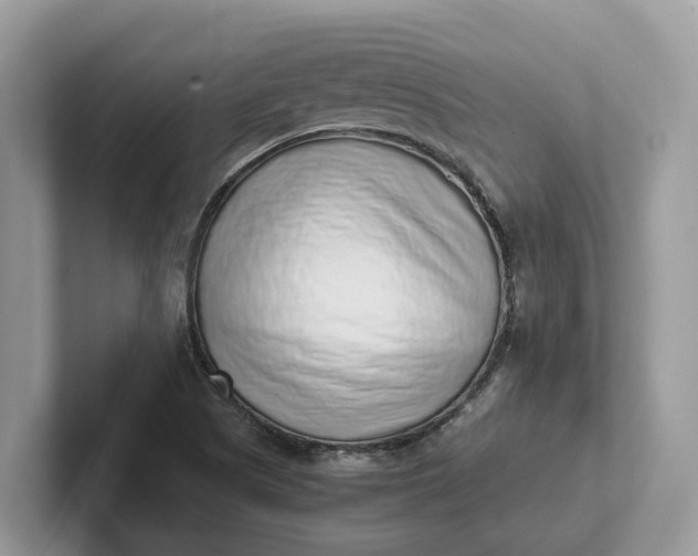 X0000101431505200807211139