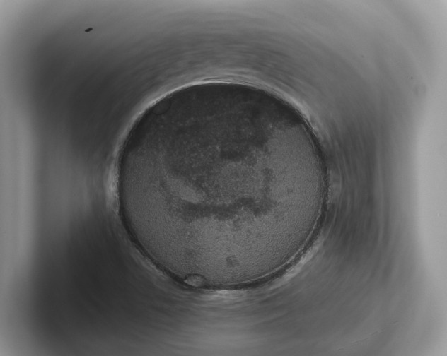 X0000101431506200807211139