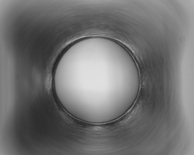 X0000101431507200807211139