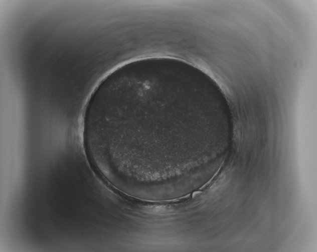 X0000101431508200807211139