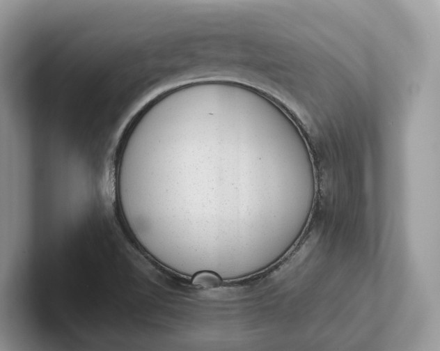 X0000101431510200807211139