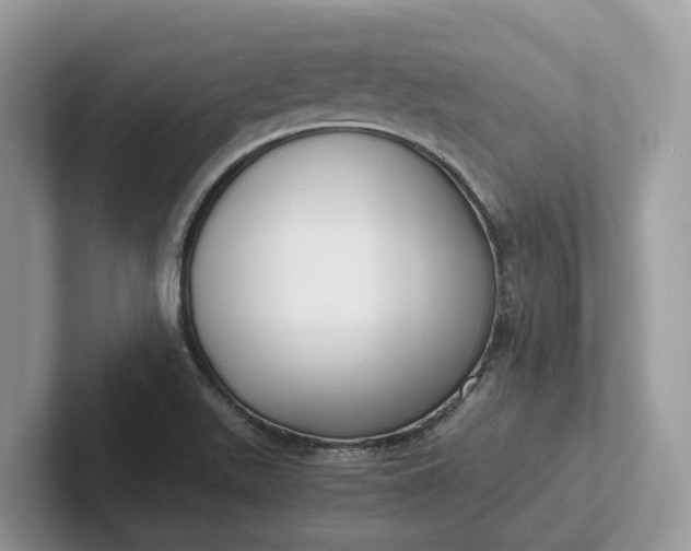 X0000101431511200807211139