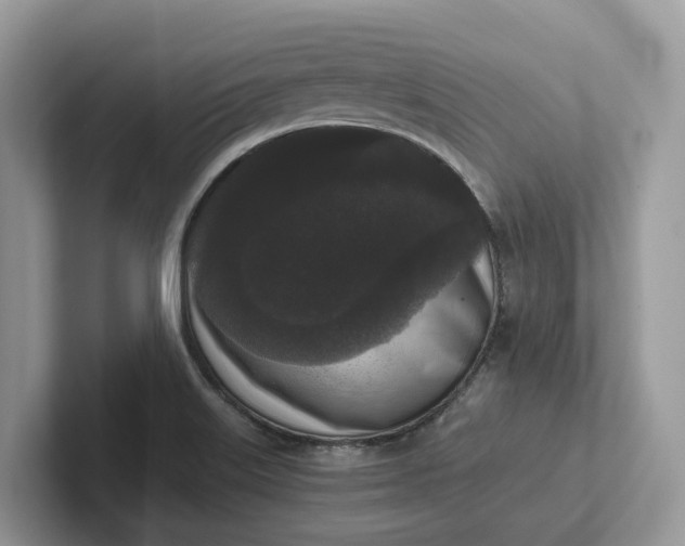 X0000101431515200807211139