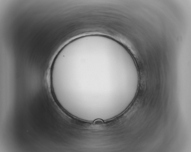 X0000101431516200807211139