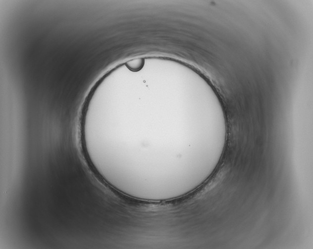 X0000101431518200807211139