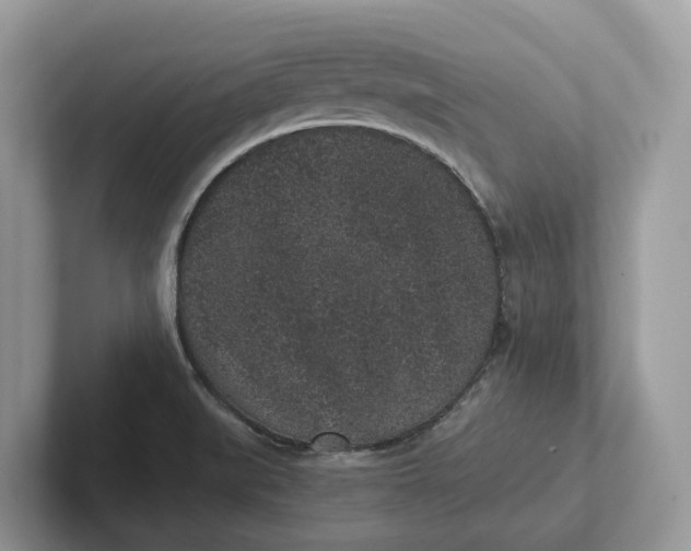 X0000101431519200807211139