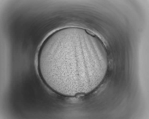 X0000101431523200807211139