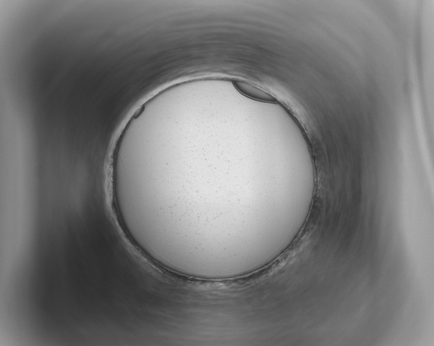 X0000101431524200807211139