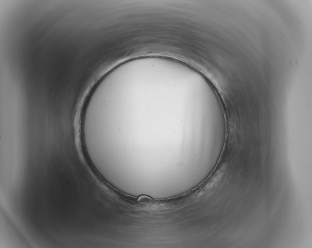 X0000101431525200807211139