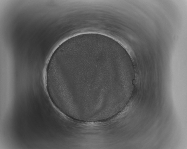 X0000101431527200807211139