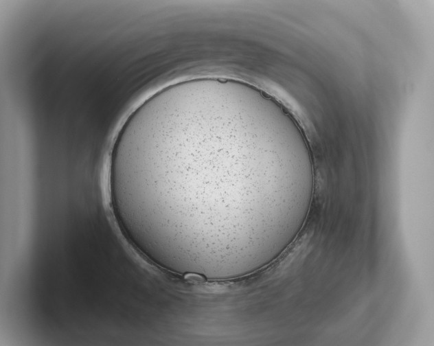 X0000101431528200807211139