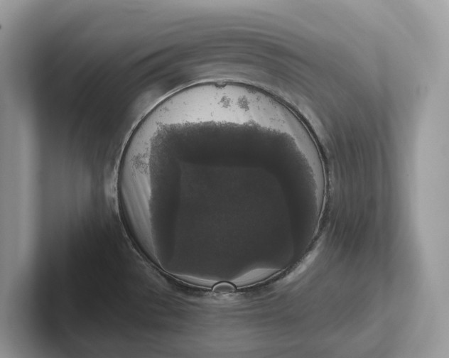 X0000101431529200807211139