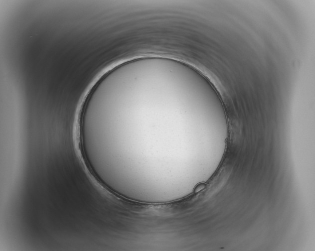 X0000101431531200807211139