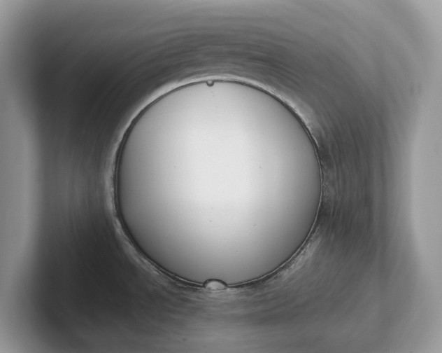 X0000101431534200807211139