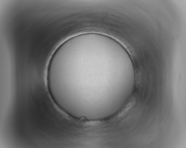 X0000101431535200807211139