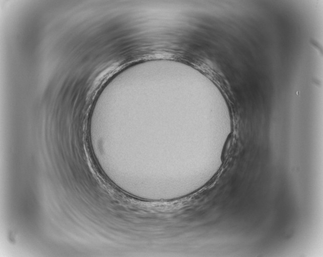 X0000101430001200807281011