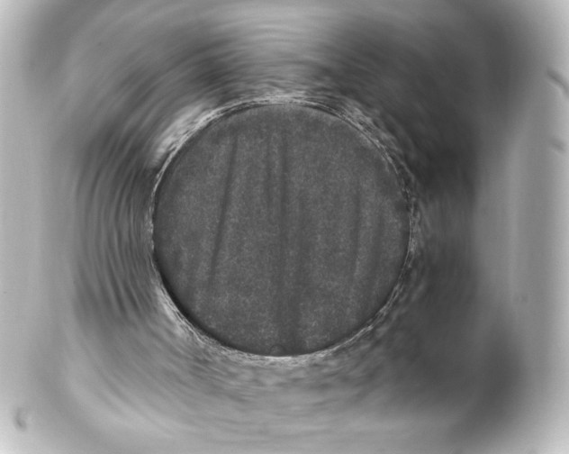 X0000101430002200807281011