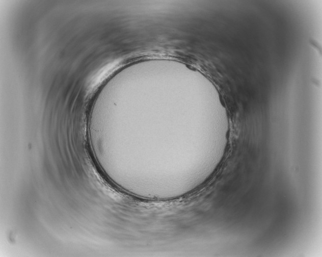 X0000101430005200807281011