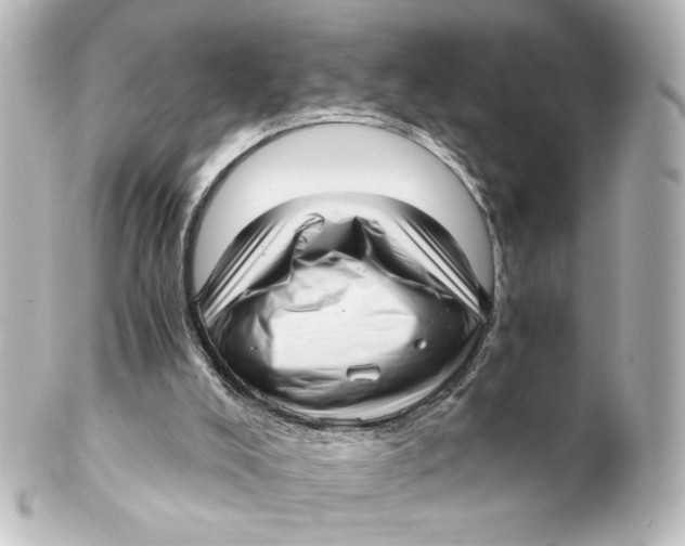 X0000101430008200807281011