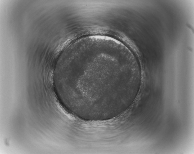 X0000101430009200807281011