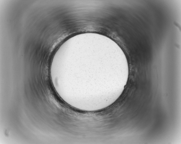 X0000101430012200807281011