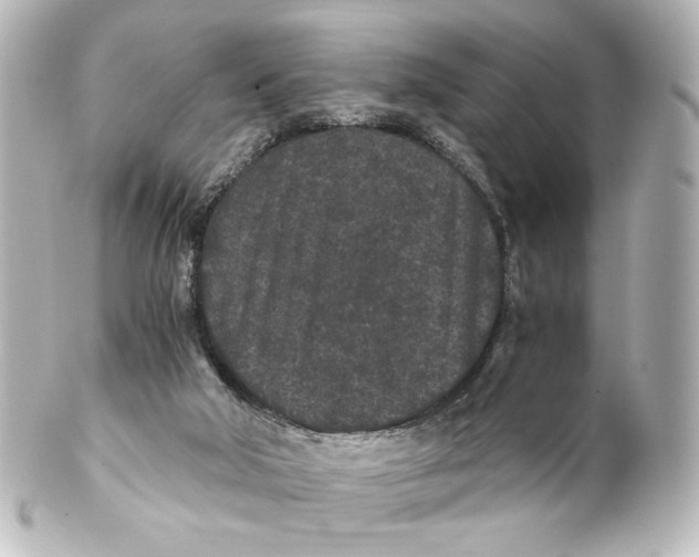 X0000101430018200807281011